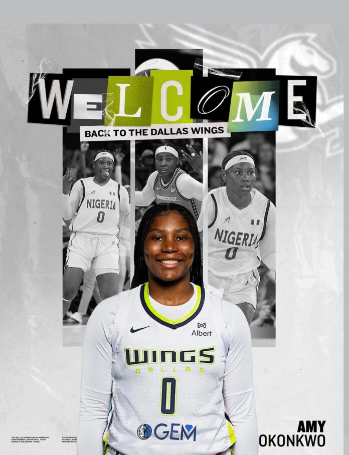 Amy Okonkwo Amy Okonkwo