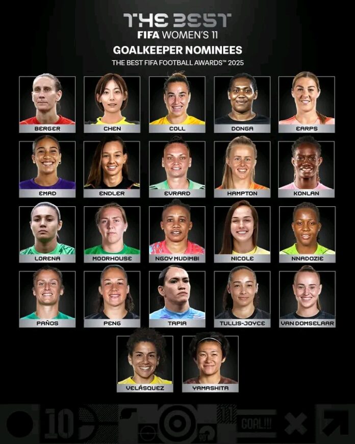 FIFA awards FIFA awards