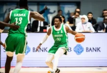 D’Tigers fall to Guinea in second game of FIBA World Cup qualifier D'Tigers