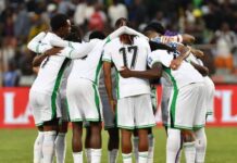 EXCLUSIVE: Okoye, Arokodare miss out of Eagles final squad for AFCON 2025; Uzoho, Onuachu return Super Eagles